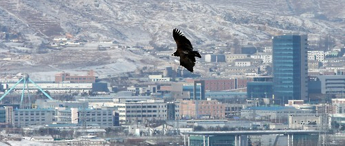 사본 -크기변환_c_20160211_2051_1.jpg