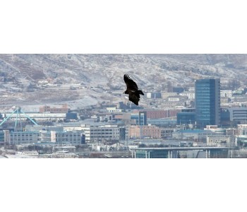 사본 -크기변환_c_20160211_2051_1.jpg